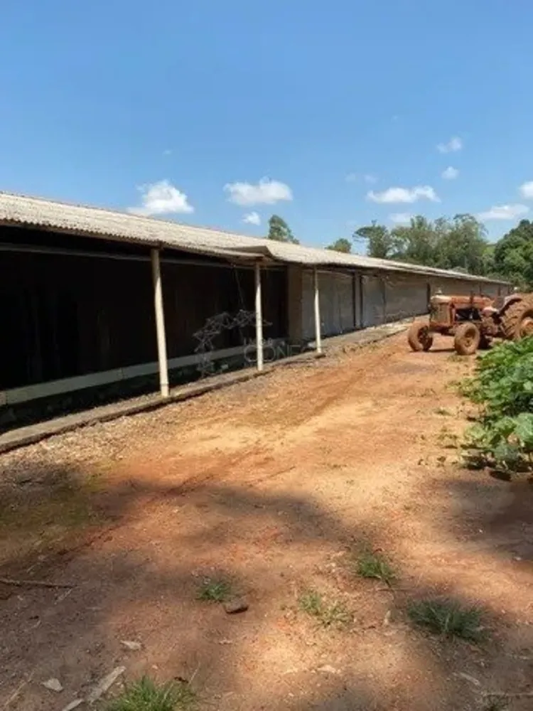 Fazenda, 11 hectares - Foto 4