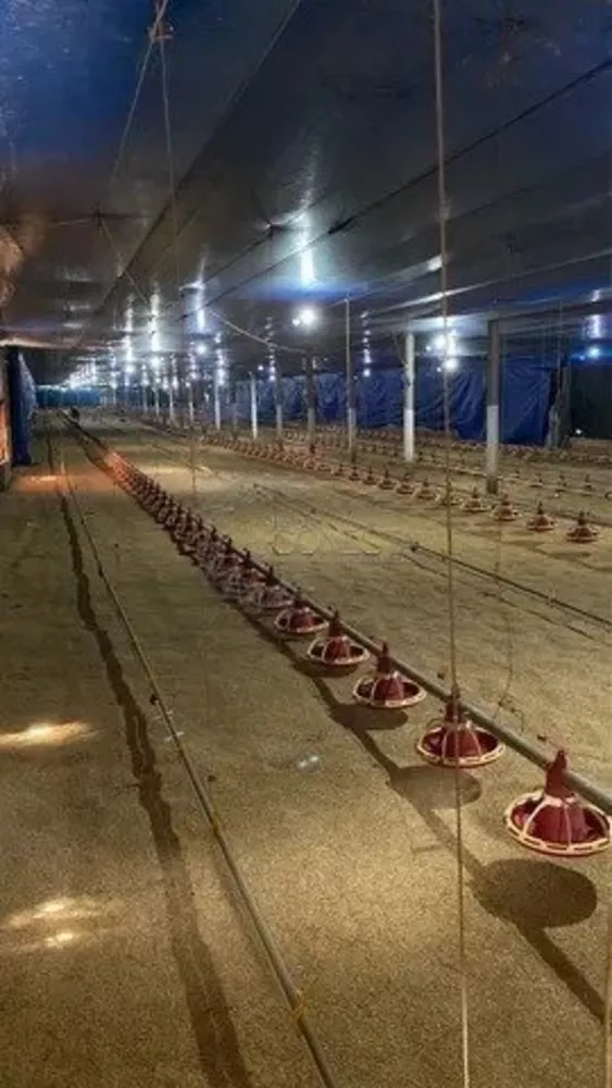 Fazenda, 4 hectares - Foto 1