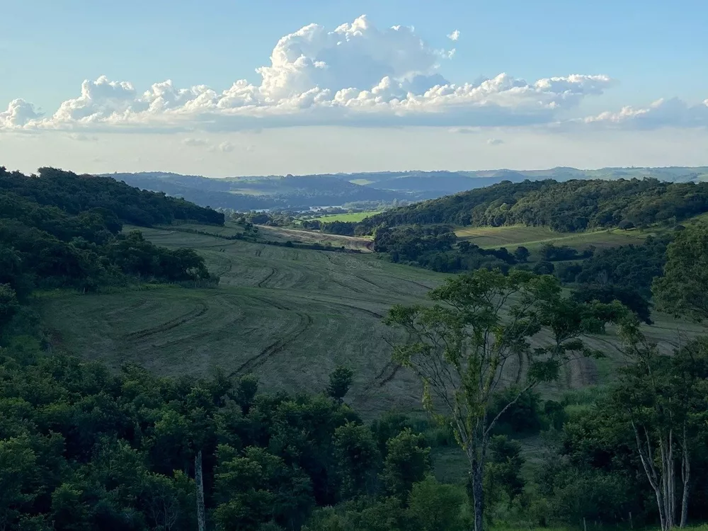 Sítio, 65 hectares - Foto 3