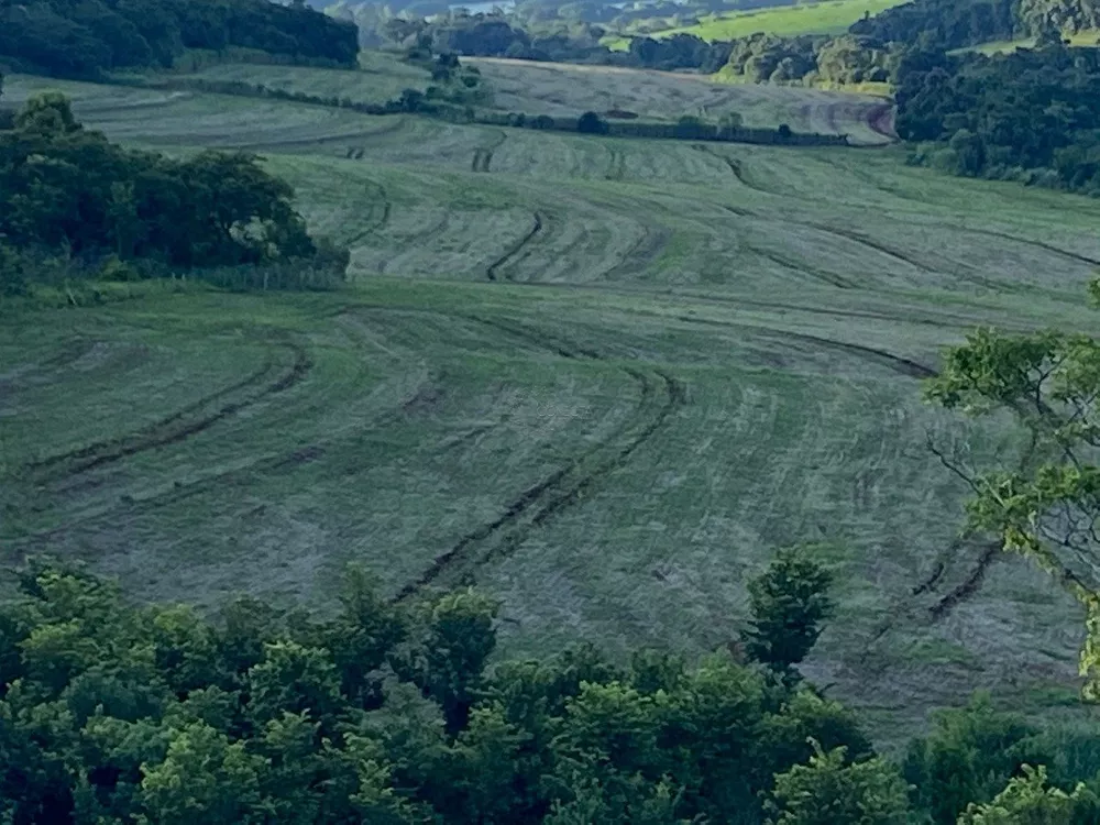 Sítio, 65 hectares - Foto 1