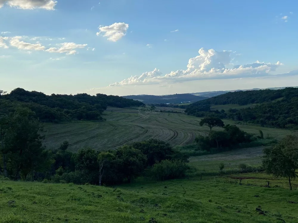 Sítio, 65 hectares - Foto 2