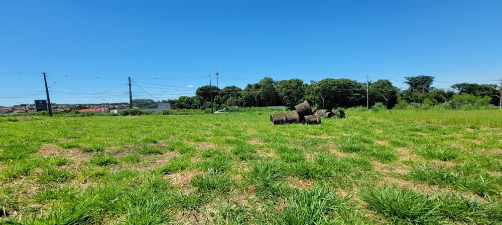 Terreno, 1000 m² - Foto 2