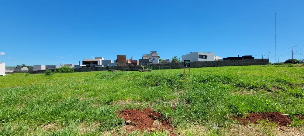 Terreno, 1000 m² - Foto 3