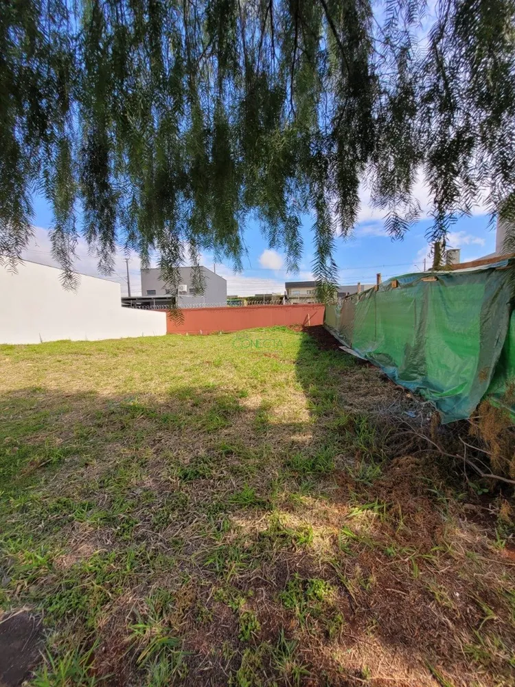 Terreno, 150 m² - Foto 8