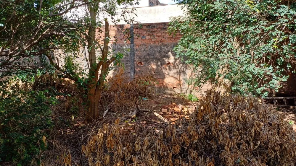 Terreno, 562 m² - Foto 2