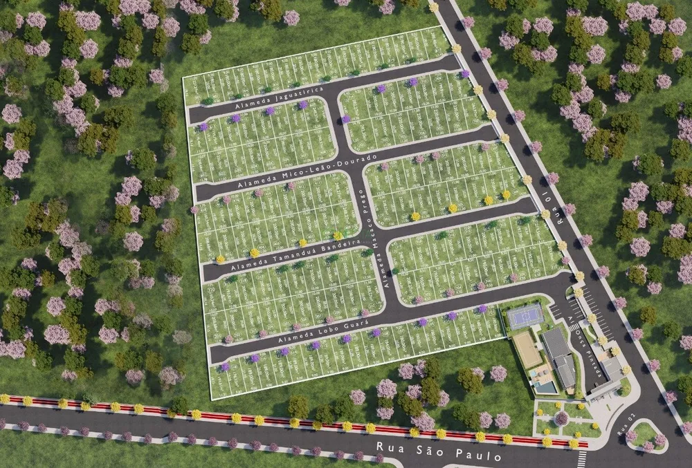 Terreno, 220 m² - Foto 3