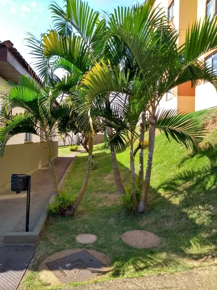 Apartamento, 2 quartos, 55 m² - Foto 2