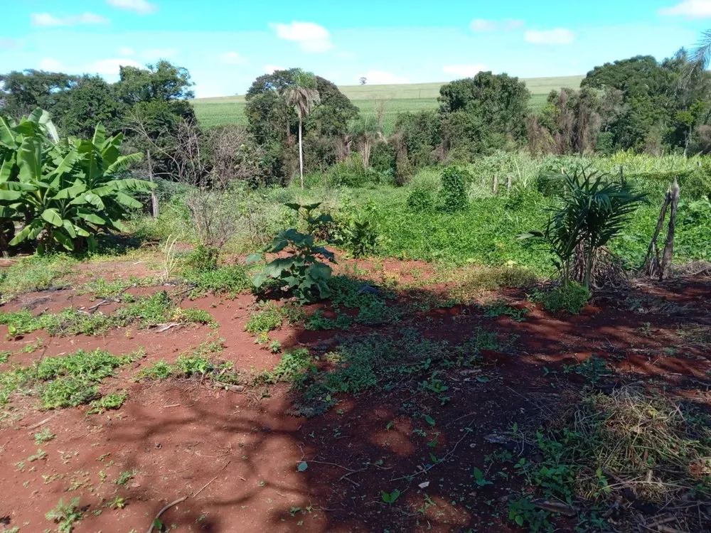 Chácara, 3 quartos, 3350 m² - Foto 3