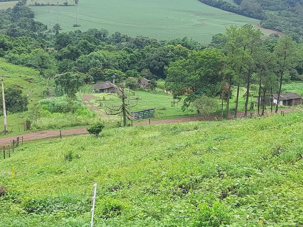 Chácara, 4 hectares - Foto 1
