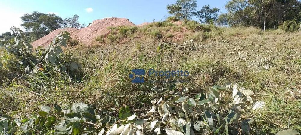Terreno, 2 hectares - Foto 6
