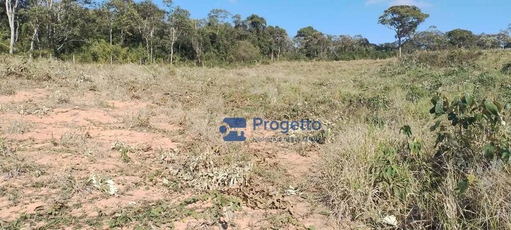 Terreno, 2 hectares - Foto 7