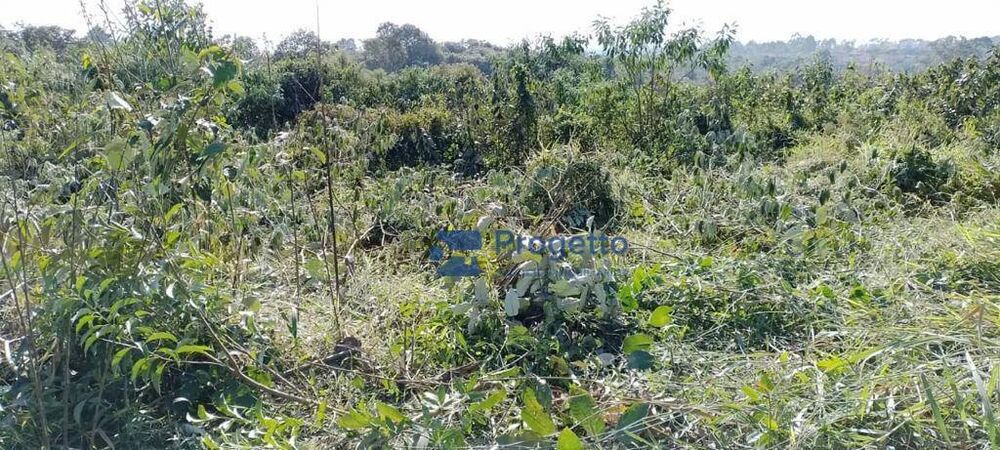 Terreno, 2 hectares - Foto 8