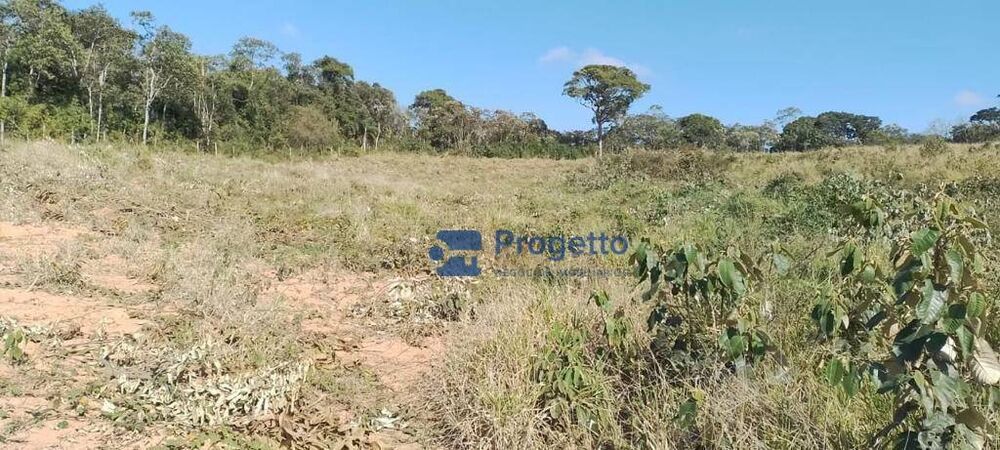 Terreno, 2 hectares - Foto 4