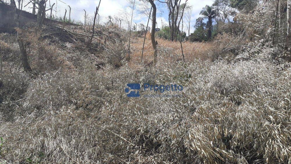 Terreno, 2400 m² - Foto 6