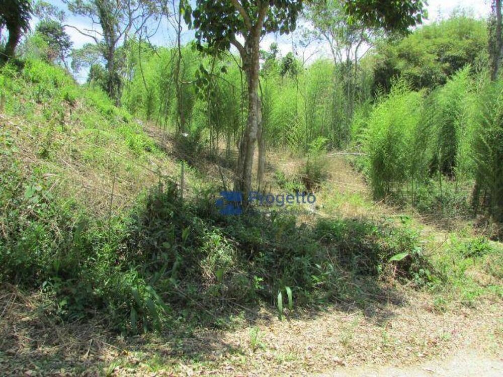 Terreno, 2400 m² - Foto 3