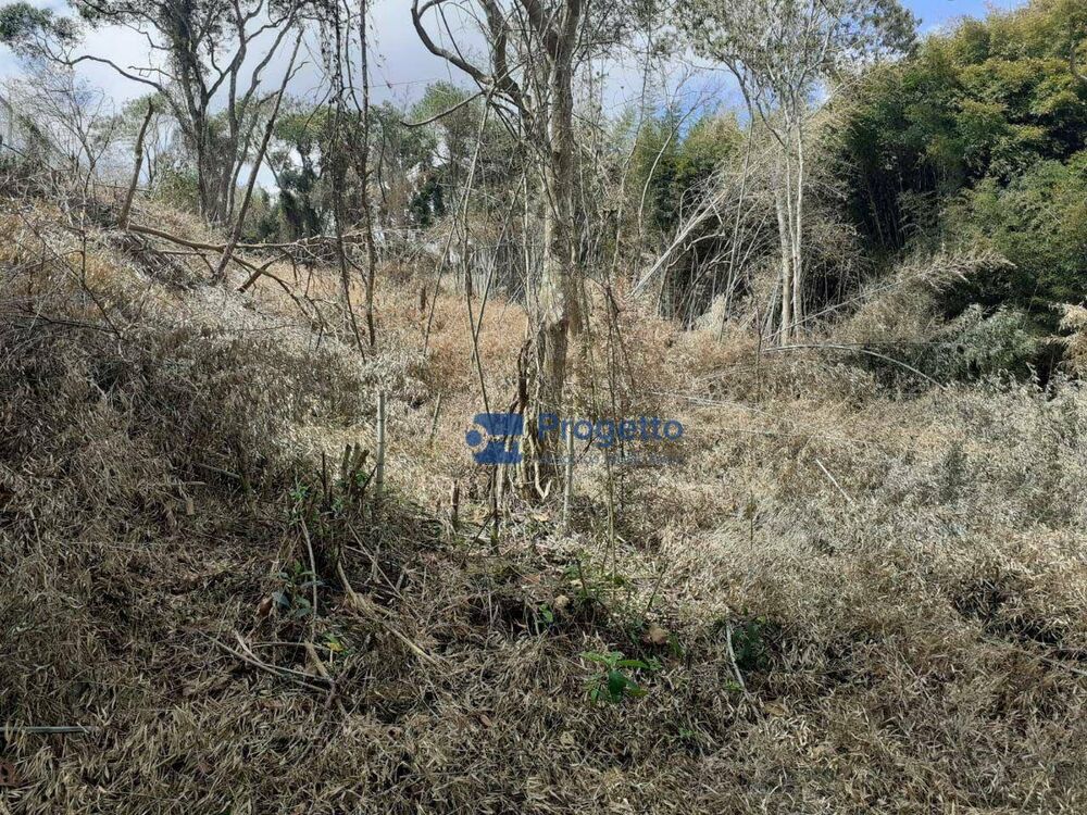 Terreno, 2400 m² - Foto 8