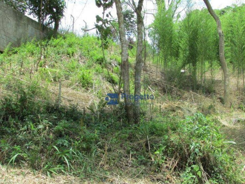 Terreno, 2400 m² - Foto 4