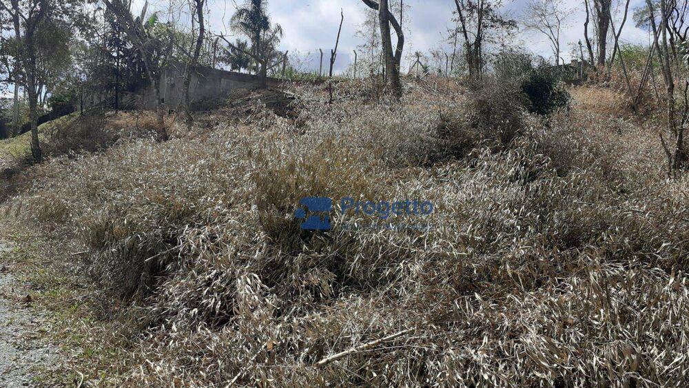 Terreno, 2400 m² - Foto 5