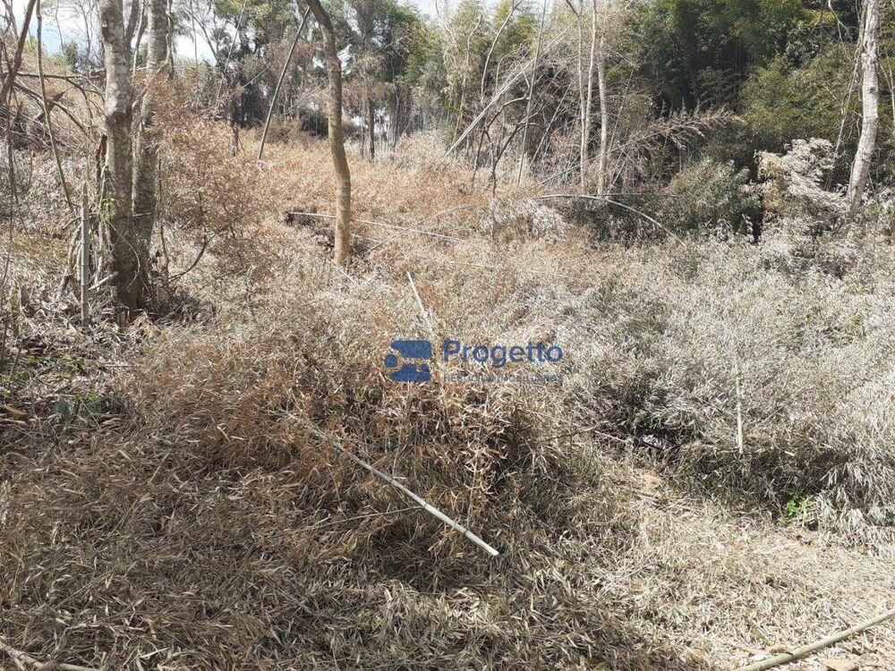 Terreno, 2400 m² - Foto 7