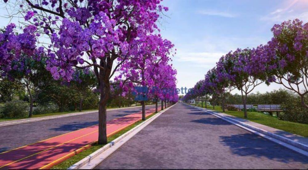 Terreno, 250 m² - Foto 2