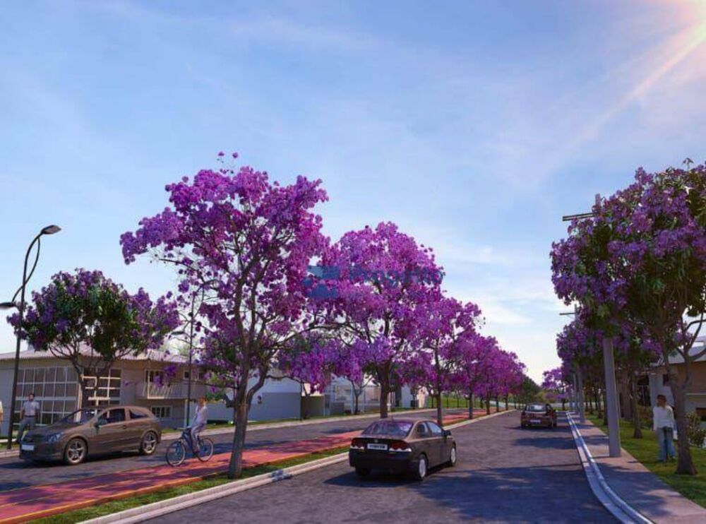 Terreno, 250 m² - Foto 3