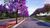 Terreno, 250 m² - Foto 2