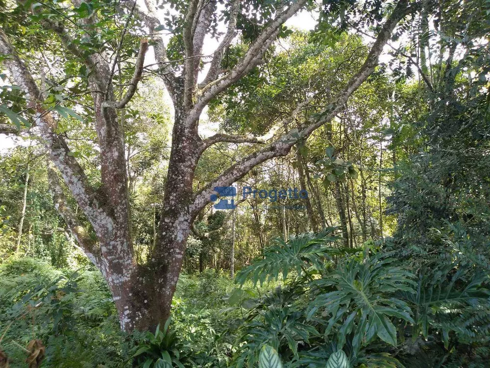 Loteamento e Condomínio à venda, 1000M2 - Foto 5