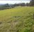 Terreno, 1200 m² - Foto 4