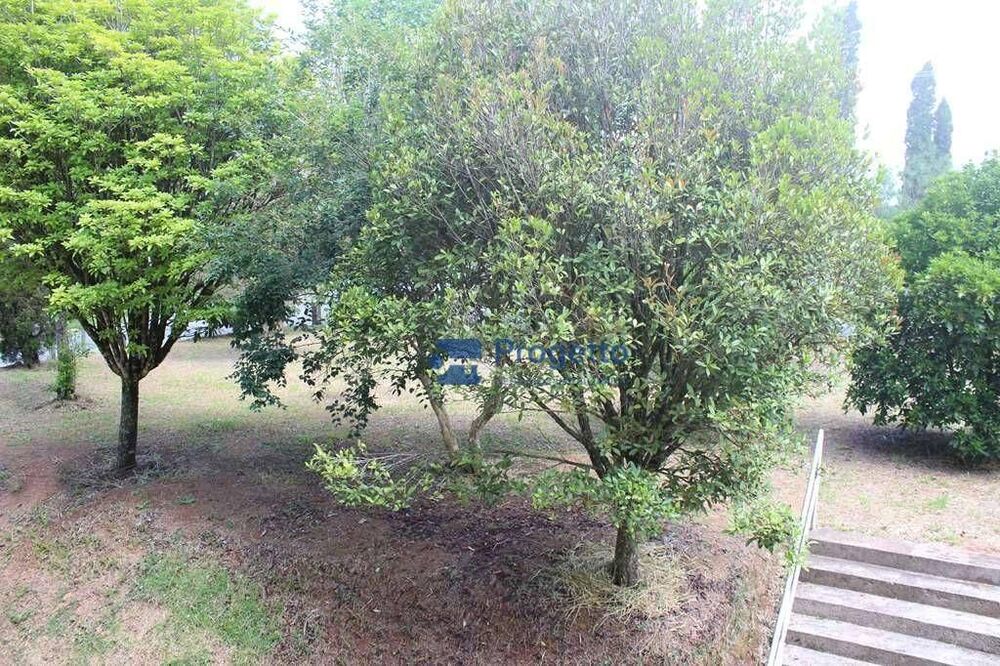 Depósito-Galpão-Armazém à venda, 505m² - Foto 4