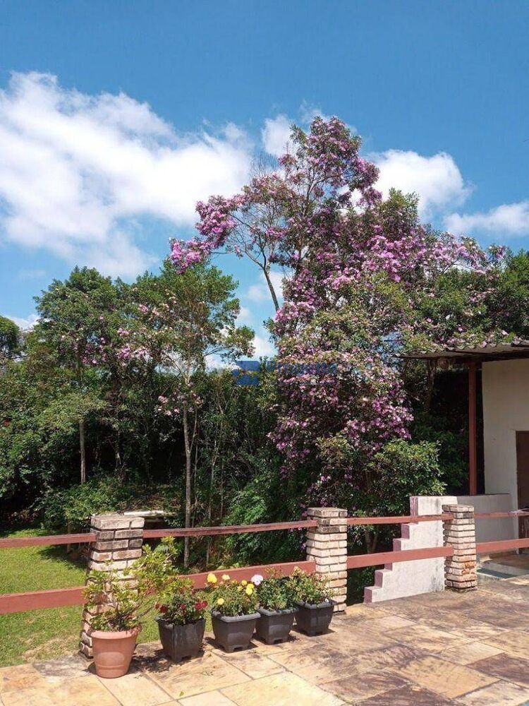 Casa, 4 quartos, 415 m² - Foto 7