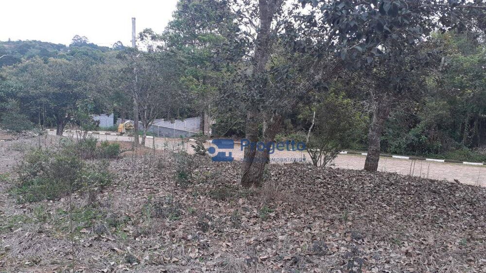 Loteamento e Condomínio, 1028 m² - Foto 8