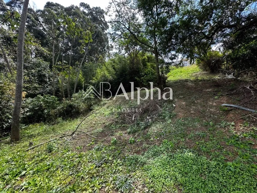 Terreno, 1181 m² - Foto 2