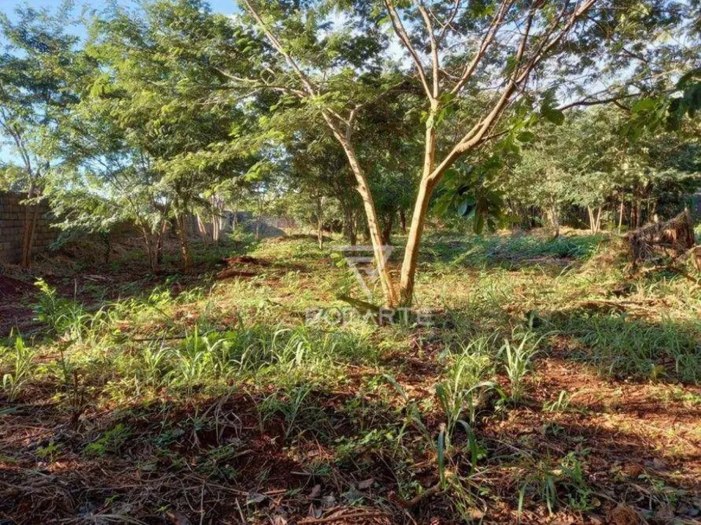 Terreno, 3000 m² - Foto 4