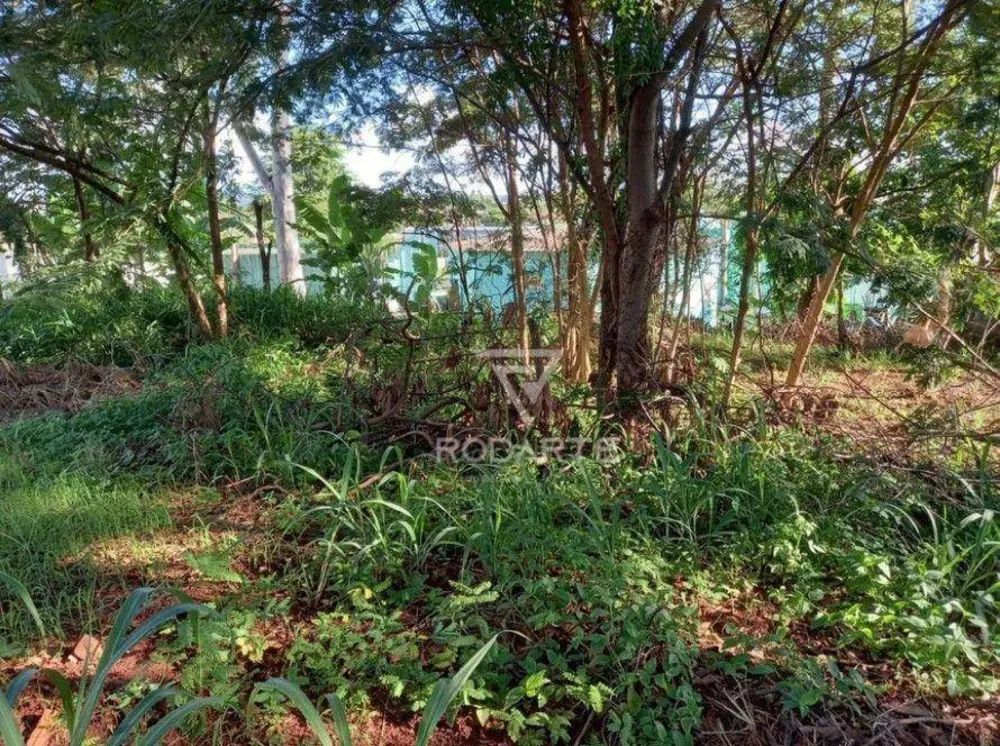 Terreno, 3000 m² - Foto 3
