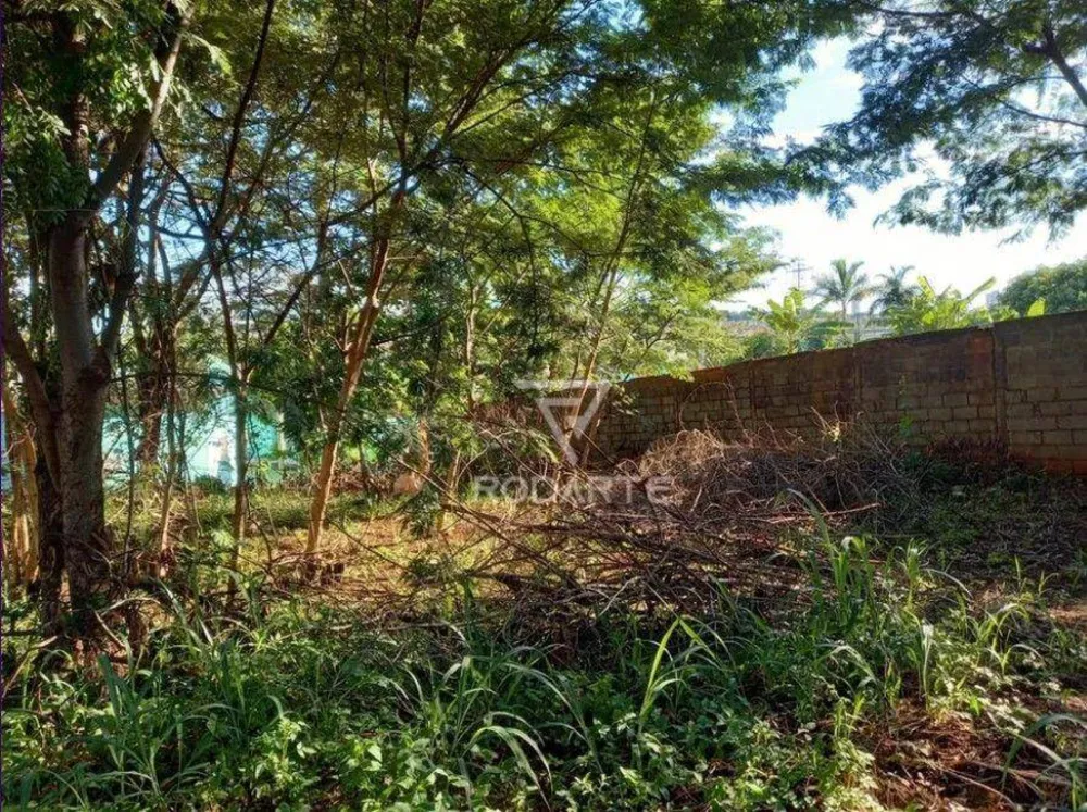 Terreno, 3000 m² - Foto 5