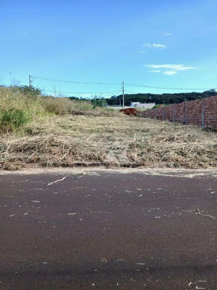 Terreno, 250 m² - Foto 1