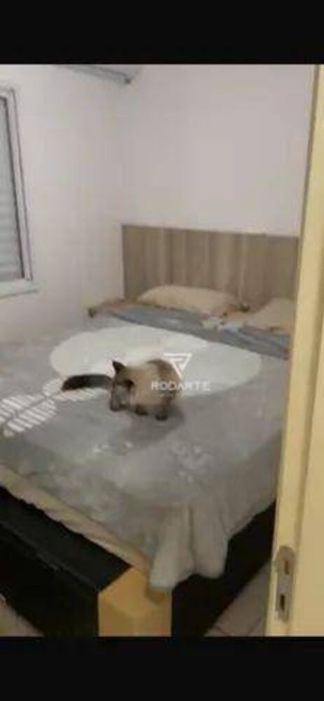 Apartamento, 2 quartos, 54 m² - Foto 3