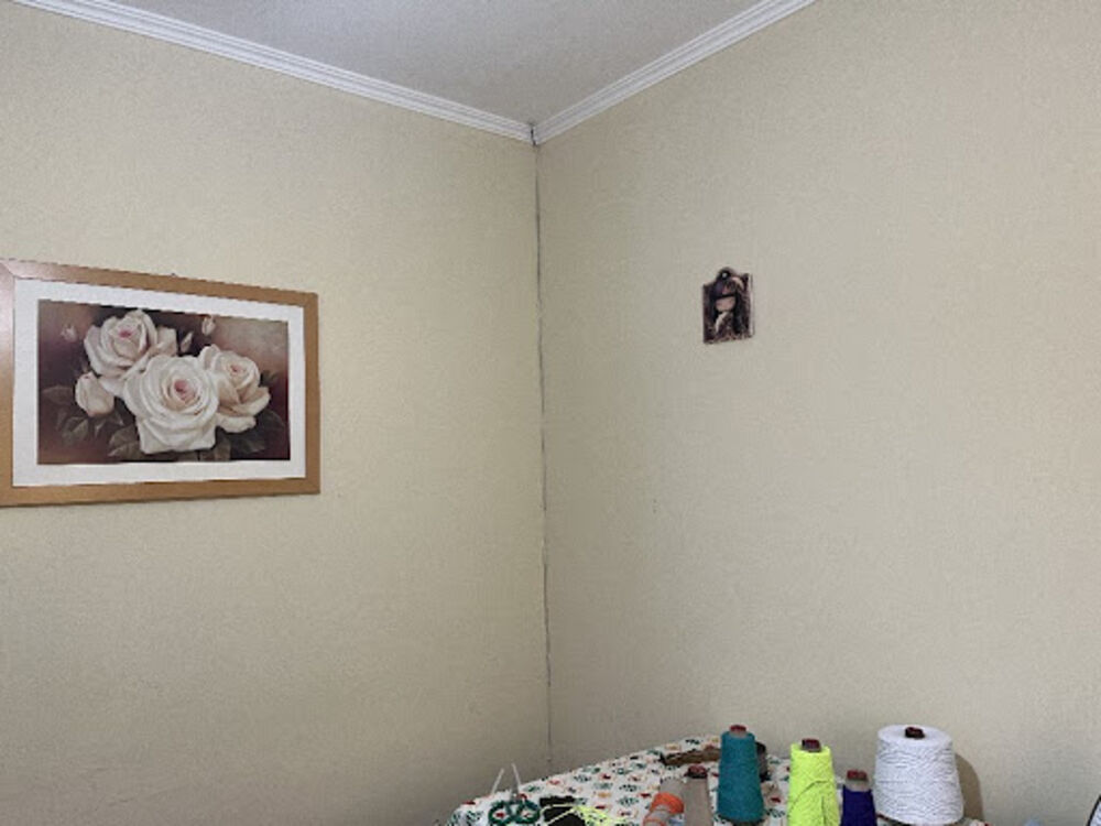Chácara, 6 quartos, 500 m² - Foto 4