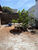 Casa, 3 quartos, 80 m² - Foto 1