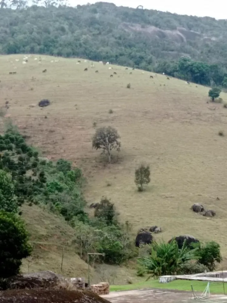 Fazenda, 97 hectares - Foto 2