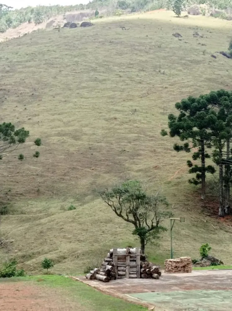 Fazenda, 97 hectares - Foto 4