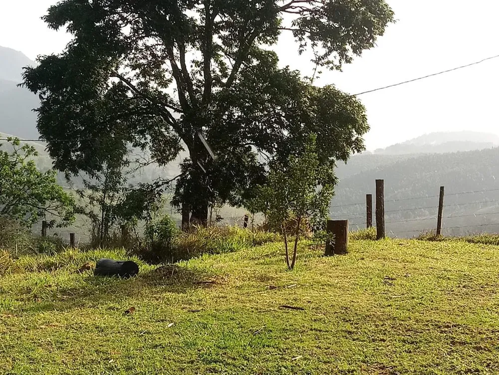 Chácara, 2 quartos, 2 hectares - Foto 4