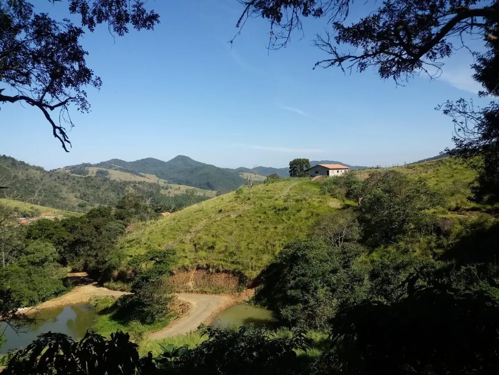 Chácara, 2 quartos, 2 hectares - Foto 8