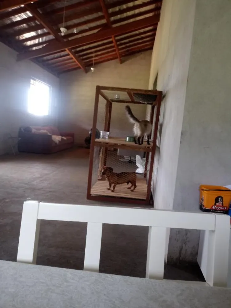 Chácara, 2 quartos, 2 hectares - Foto 6