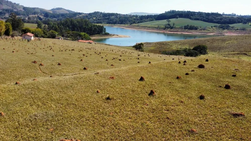 Terreno, 8 hectares - Foto 6