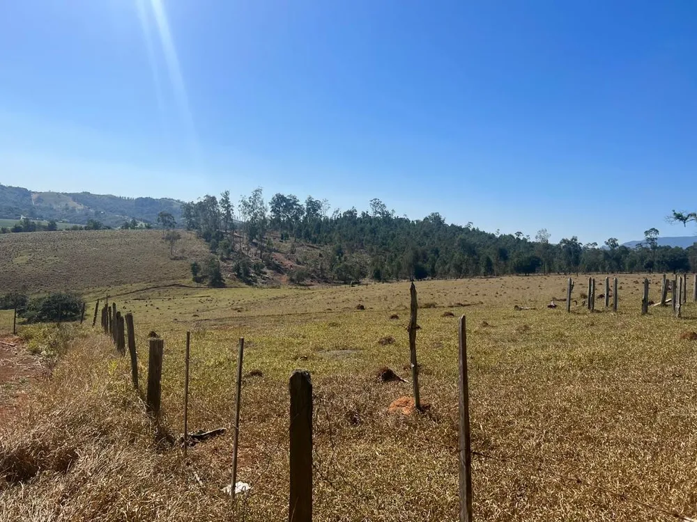 Terreno, 8 hectares - Foto 7