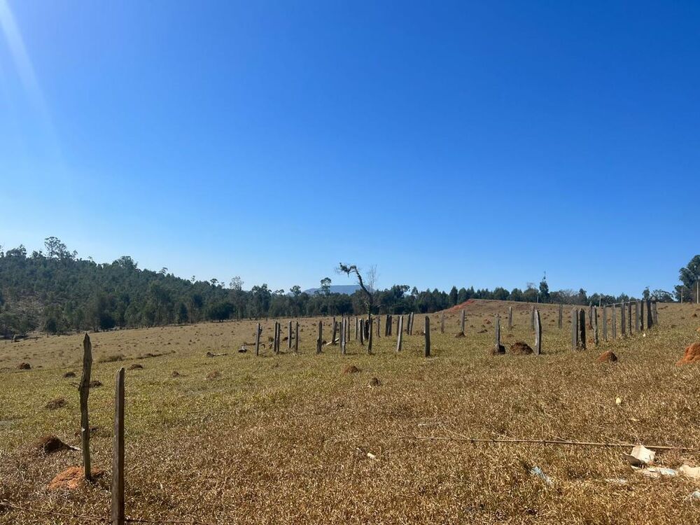 Terreno, 8 hectares - Foto 2