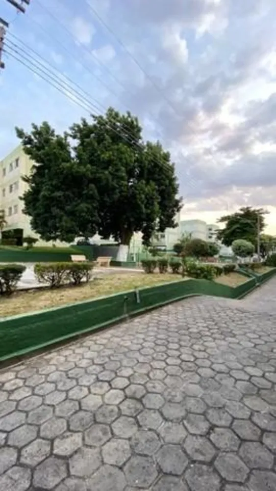 Apartamento, 2 quartos, 56 m² - Foto 11