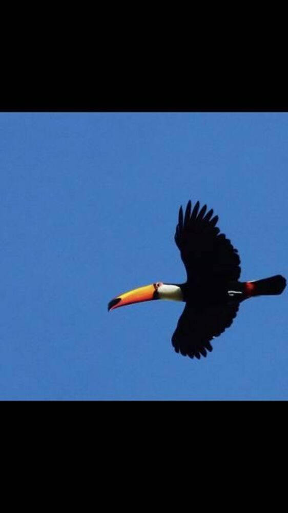 Terreno, 791 m² - Foto 3