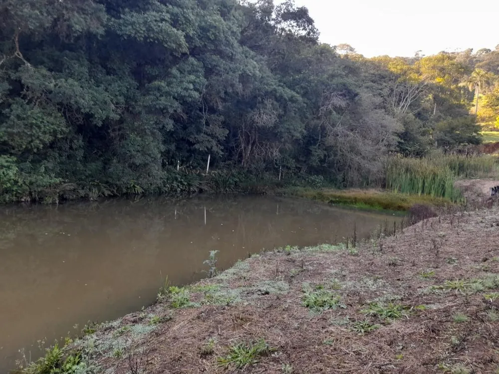 Terreno, 1 hectares - Foto 10